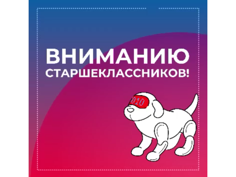 Не упусти свой шанс изучить программирование!.