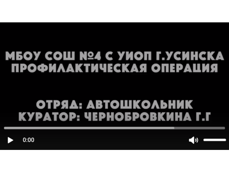 Отряд юных инспекторов 2 « Б» класса « Автошкольник» участвует в профилактической операции « Засветись» и напоминает всем о наличии светоотражающих элементов..