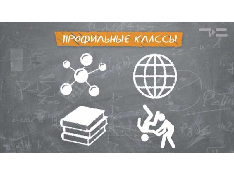 Результаты индивидуального отбора для обучения в профильных классах..