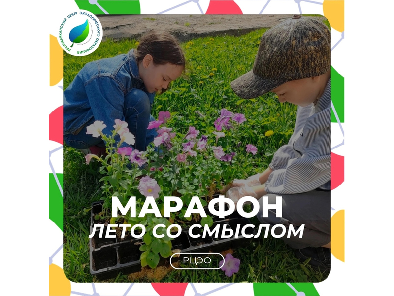 Друзья, лето — это время солнца, отдыха и новых впечатлений.