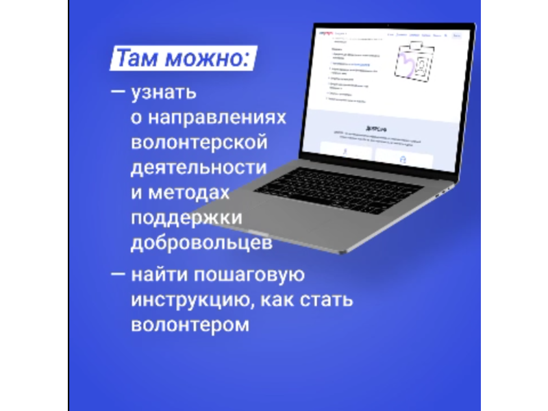 На Госуслугах появился раздел о добровольчестве.