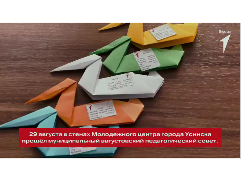 На августовский педагогический совет в город Усинск Республики Коми, прилетали пеликаны.